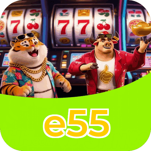 e55