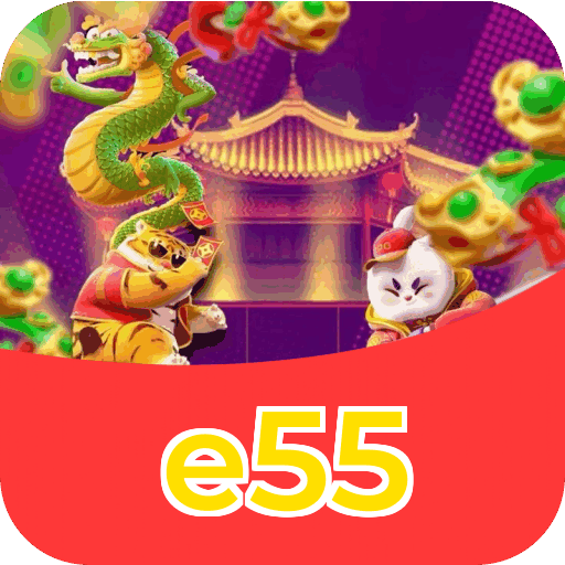 e55